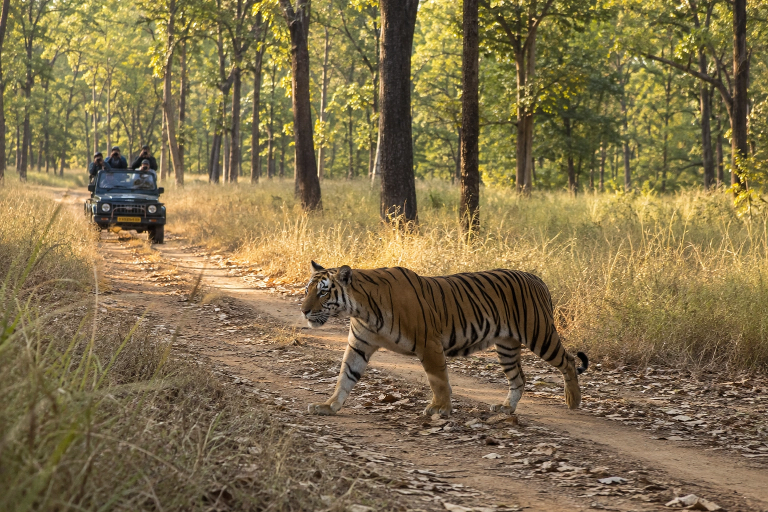 Tour – Madhya Pradesh_3